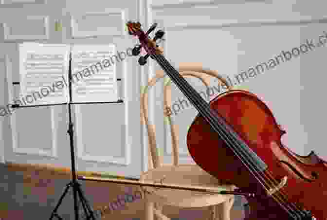 A Cellist Playing Cello 4 Part Of 10 Christmas Tunes For Cello Quartet : Easy/Intermediate