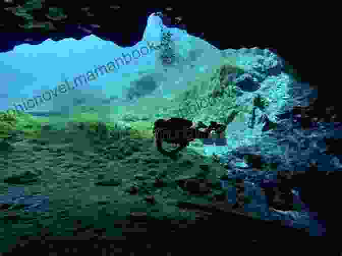 A Diver Swims Through An Underwater Cavern Filled With Ancient Artifacts. Into The Blue (Coastal Fury 3)