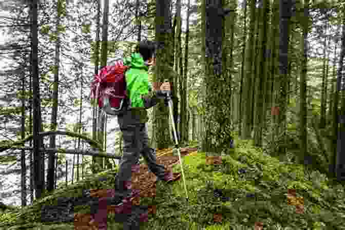 A Person Hiking Through A Forest. What Great Teachers Do Differently: Nineteen Things That Matter Most