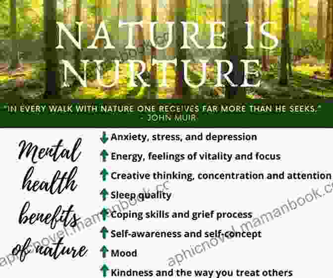 Emotional Health Benefits Of Nature Vitamin N: The Essential Guide To A Nature Rich Life