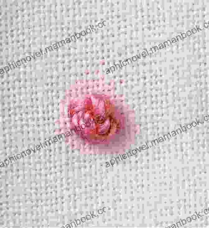 French Knot Hand Embroidery Stitches For Everyone 1st Edition: A Step By Step Pictorial Guide To 200 Embroidery Stitches With Patterns And A Bit Of History (Sarah S Hand Embroidery Tutorials)