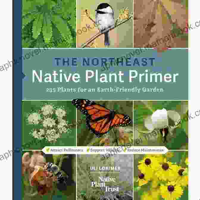 Northeast Native Plant Primer Book The Northeast Native Plant Primer: 235 Plants For An Earth Friendly Garden
