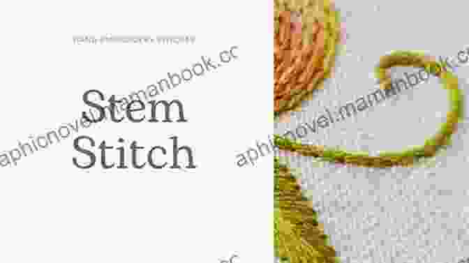 Stem Stitch Hand Embroidery Stitches For Everyone 1st Edition: A Step By Step Pictorial Guide To 200 Embroidery Stitches With Patterns And A Bit Of History (Sarah S Hand Embroidery Tutorials)