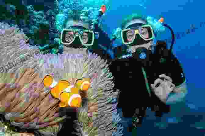 Two Divers Exploring A Vibrant Coral Reef. Into The Blue (Coastal Fury 3)