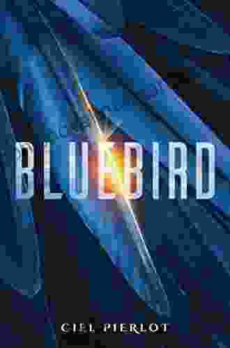 Bluebird Ciel Pierlot
