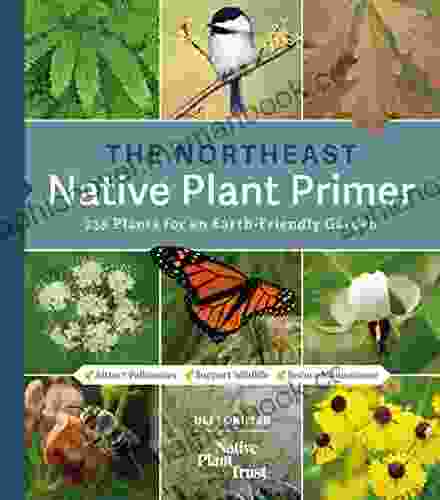 The Northeast Native Plant Primer: 235 Plants For An Earth Friendly Garden
