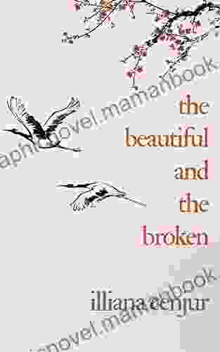 The Beautiful And The Broken